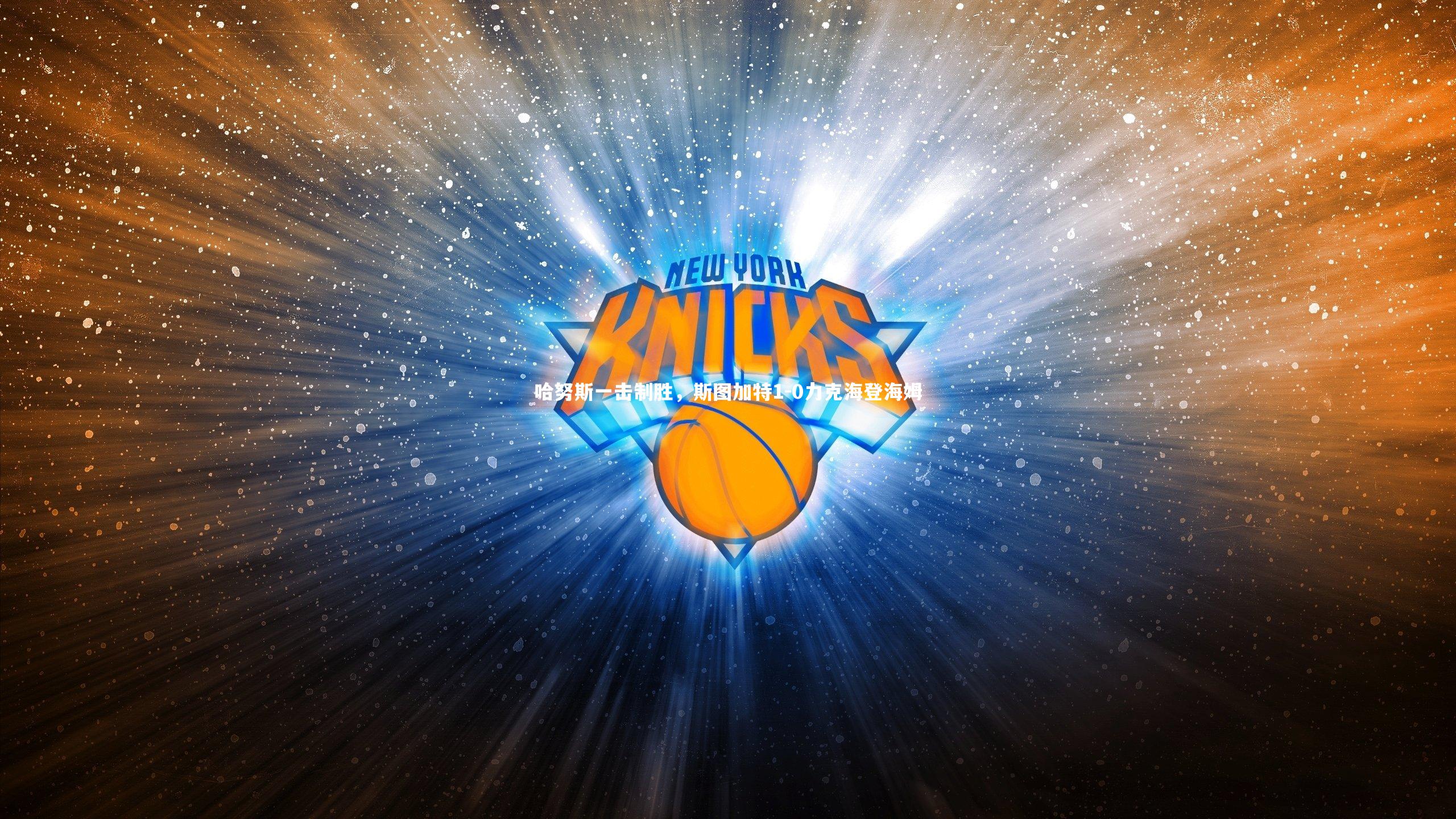 哈努斯一击制胜,斯图加特1-0力克海登海姆